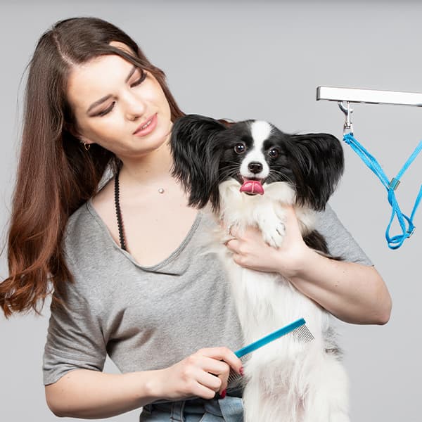 Pet grooming